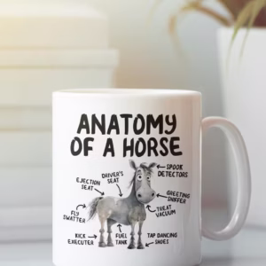 Anatomy Of A Horse