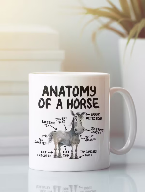 Anatomy Of A Horse